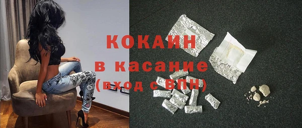 бошки Каменка