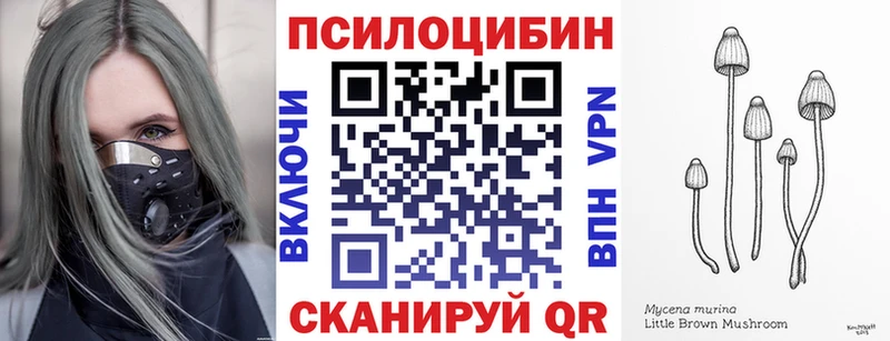 что такое   Корсаков  Псилоцибиновые грибы Magic Shrooms 