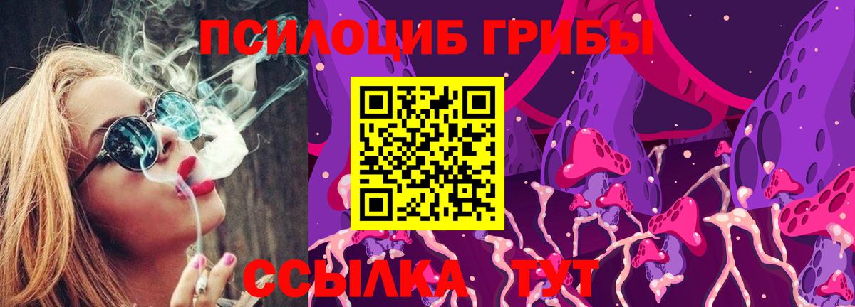 Галлюциногенные грибы мицелий Корсаков